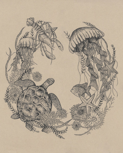 Sea Circle by Hilary Dufour