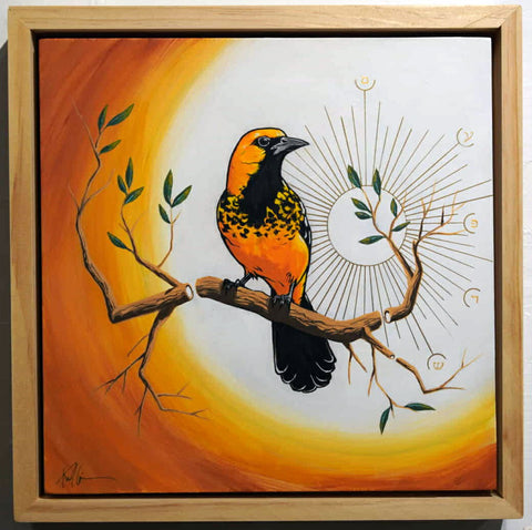 Splendor / Spot-breasted Oriole by Karl Cossio