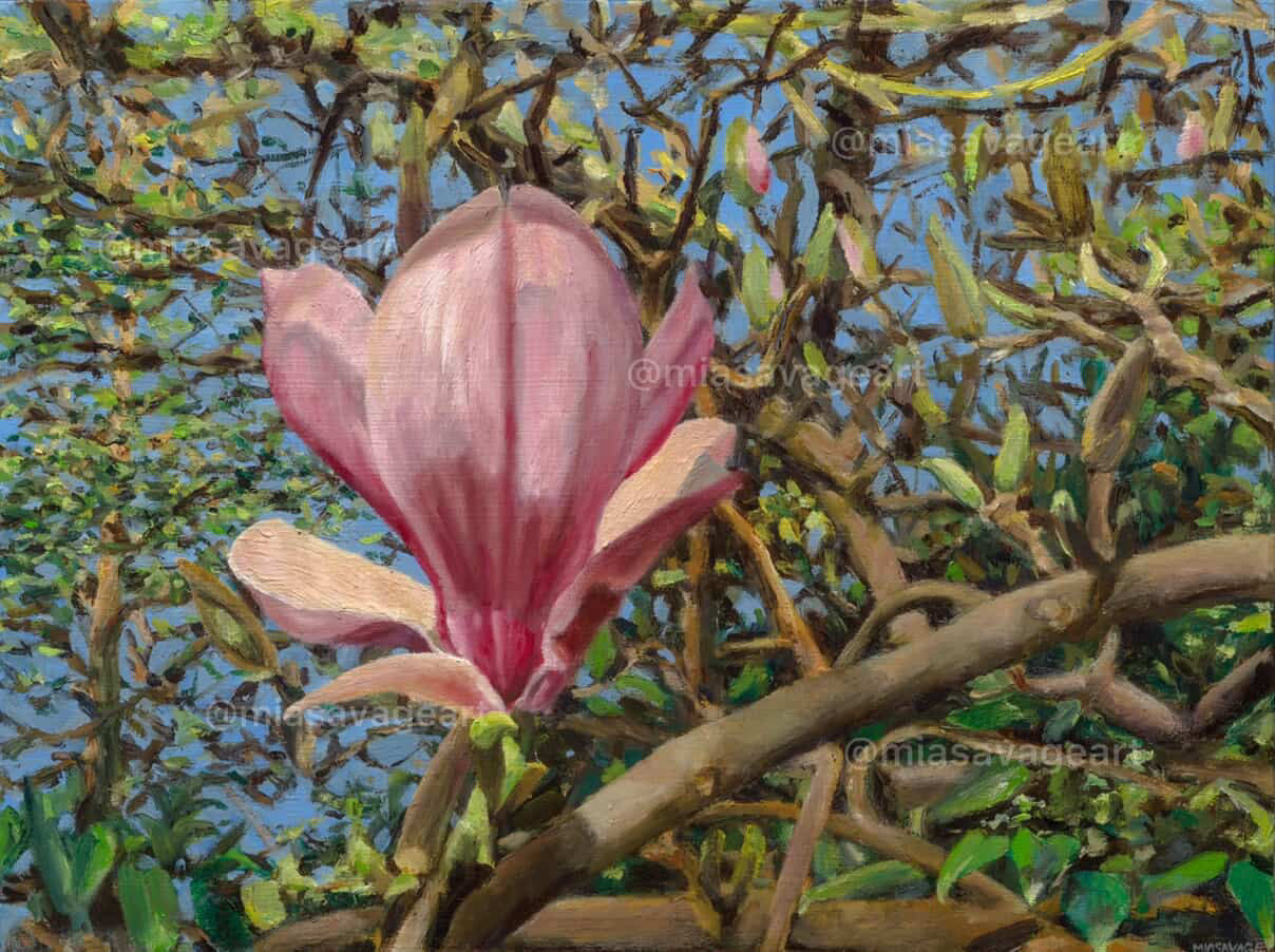 Magnolia by Mia Savage