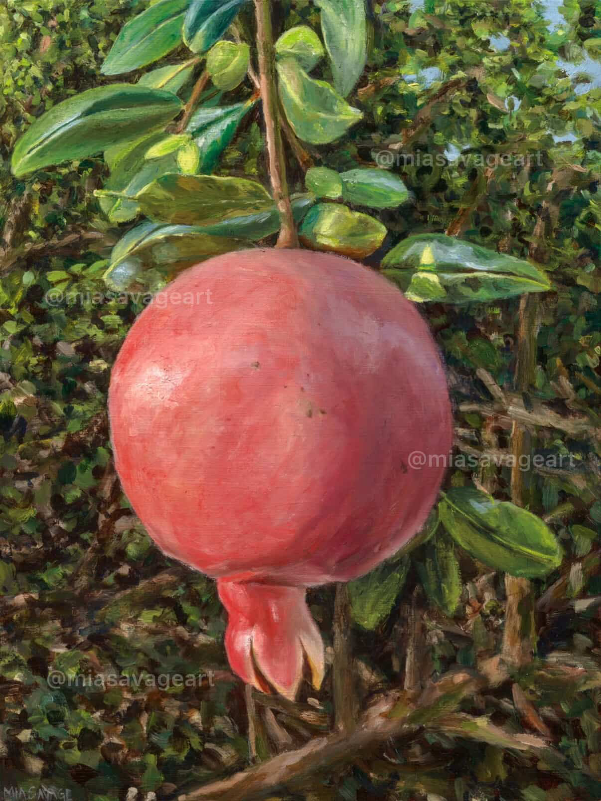 Pomegranate by Mia Savage