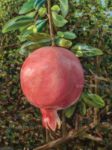 Pomegranate by Mia Savage