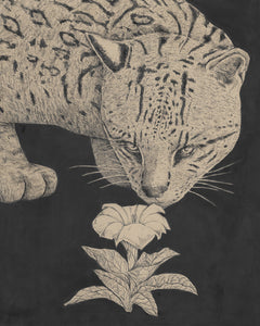 Curious by Hilary Dufour
