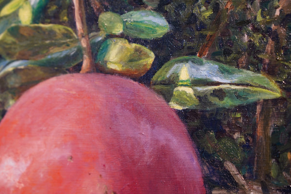 Pomegranate by Mia Savage