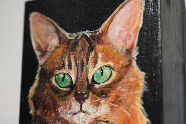 Somali Cat by Mia Savage