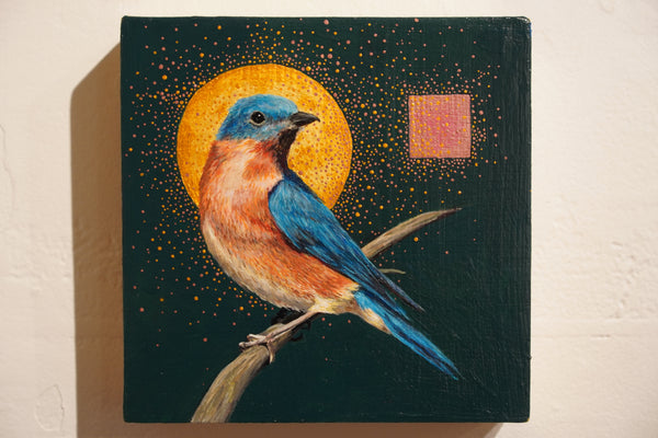 Eastern Bluebird by Mia Savage