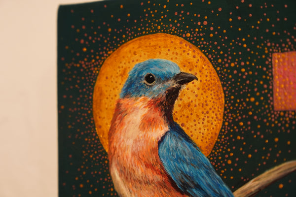 Eastern Bluebird by Mia Savage