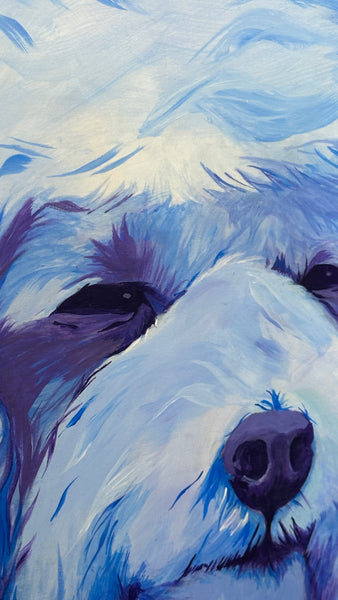 Queenie, Also Staring Intently by Karl Cossio