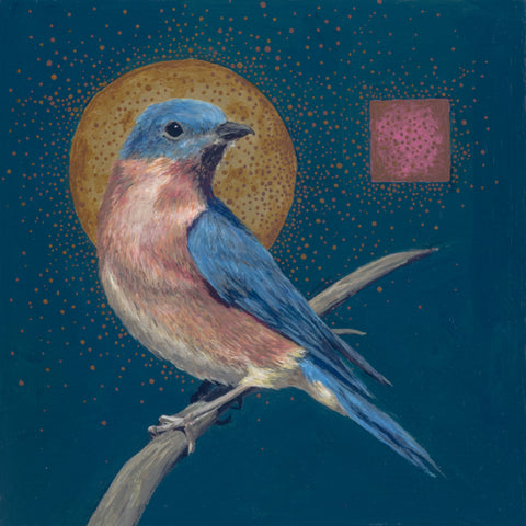 Eastern Bluebird by Mia Savage