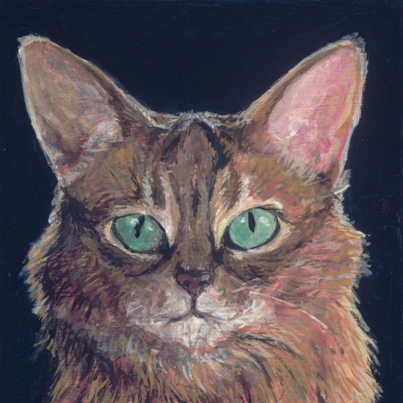 Somali Cat by Mia Savage