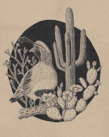 Saguaro National Park by Hilary Dufour