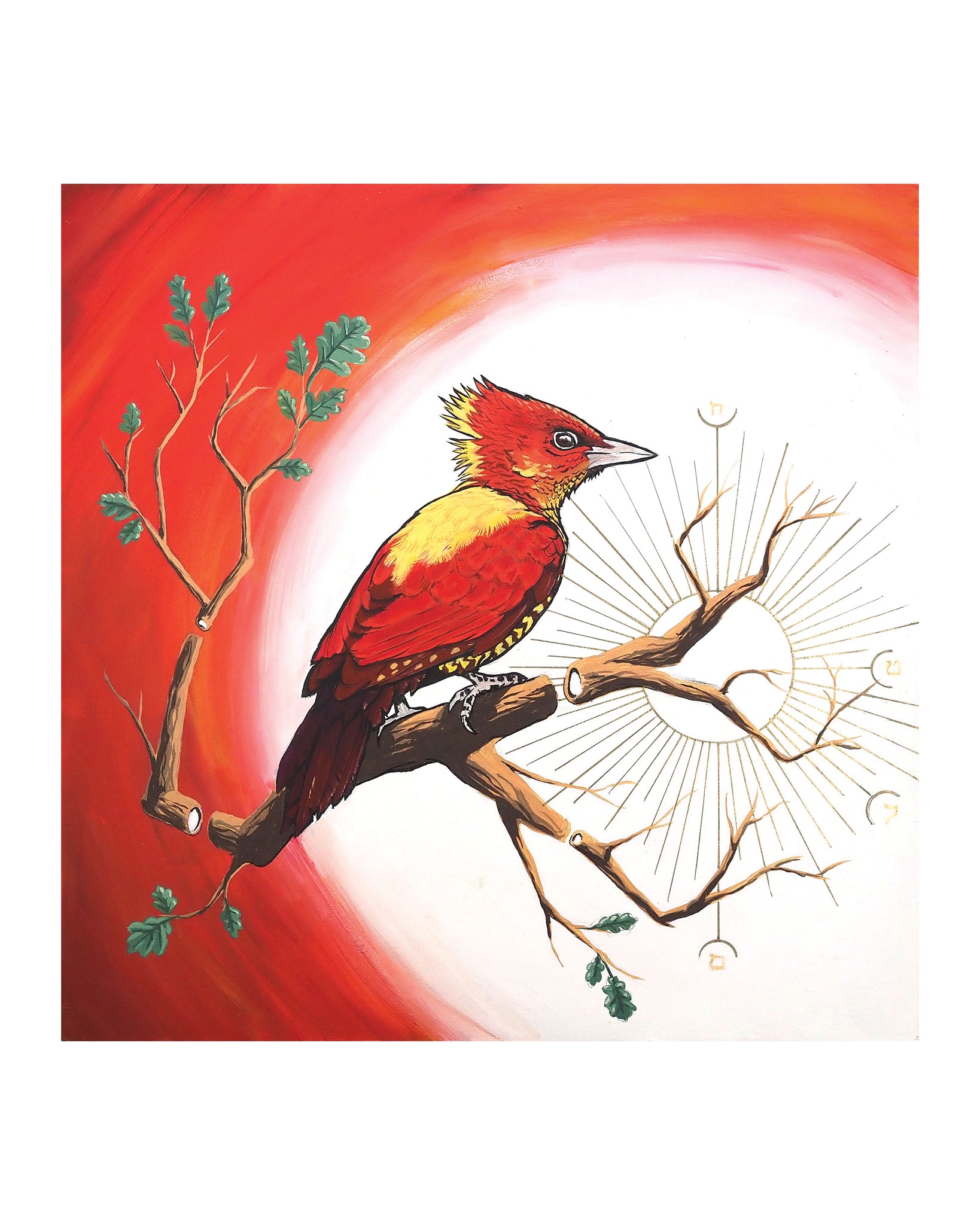 Strength / Banded Woodpecker Print by Karl Cossio