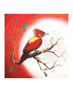 Strength / Banded Woodpecker Print by Karl Cossio