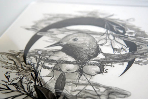 The Wren by KAMA