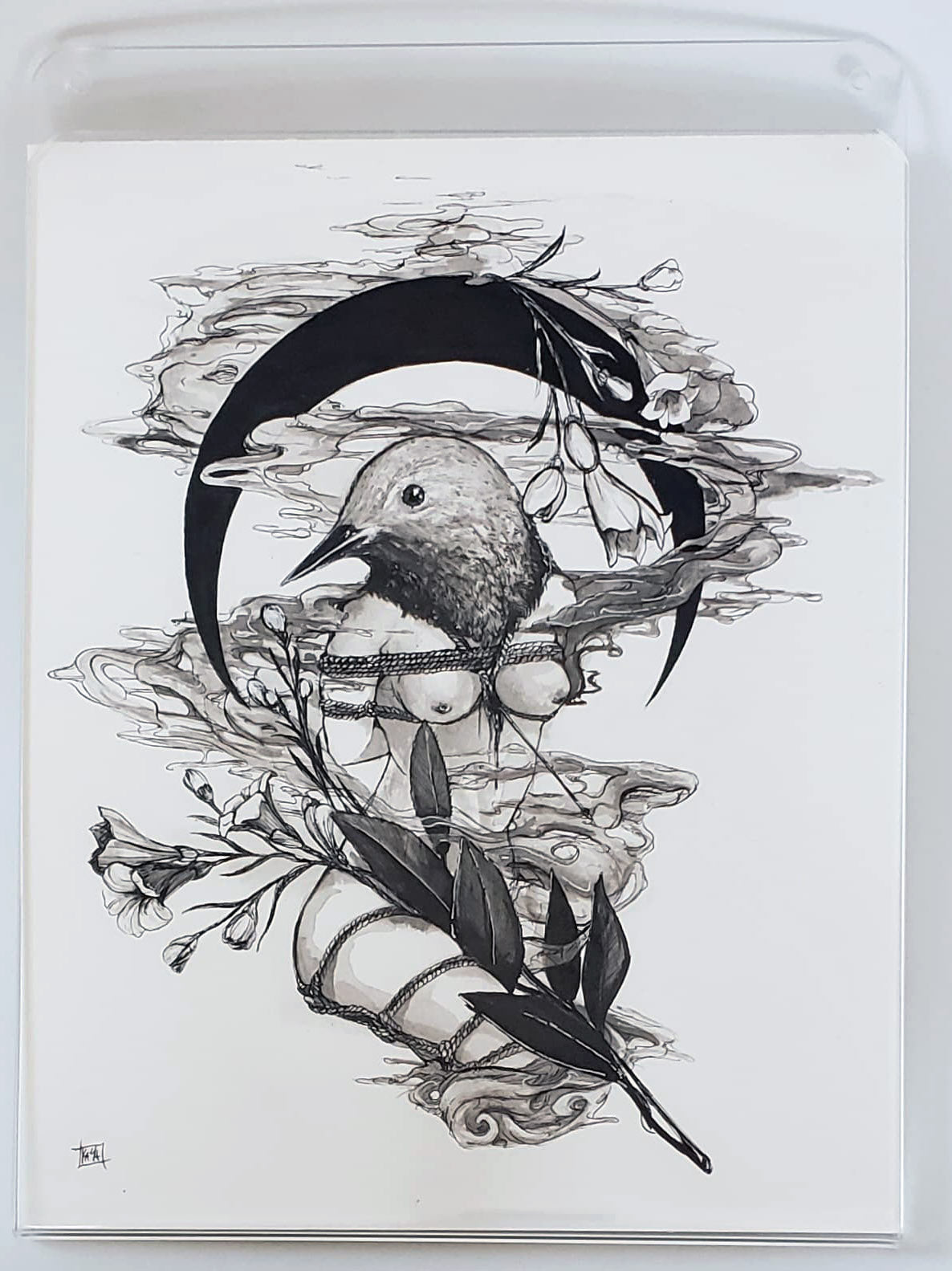 The Wren by KAMA
