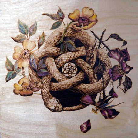 Cycles by Madeline Hanlon