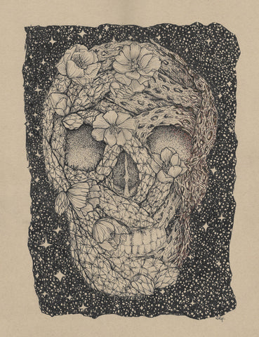 Cholla Skull by Hilary Dufour