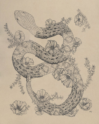 Cholla Rattlesnake by Hilary Dufour