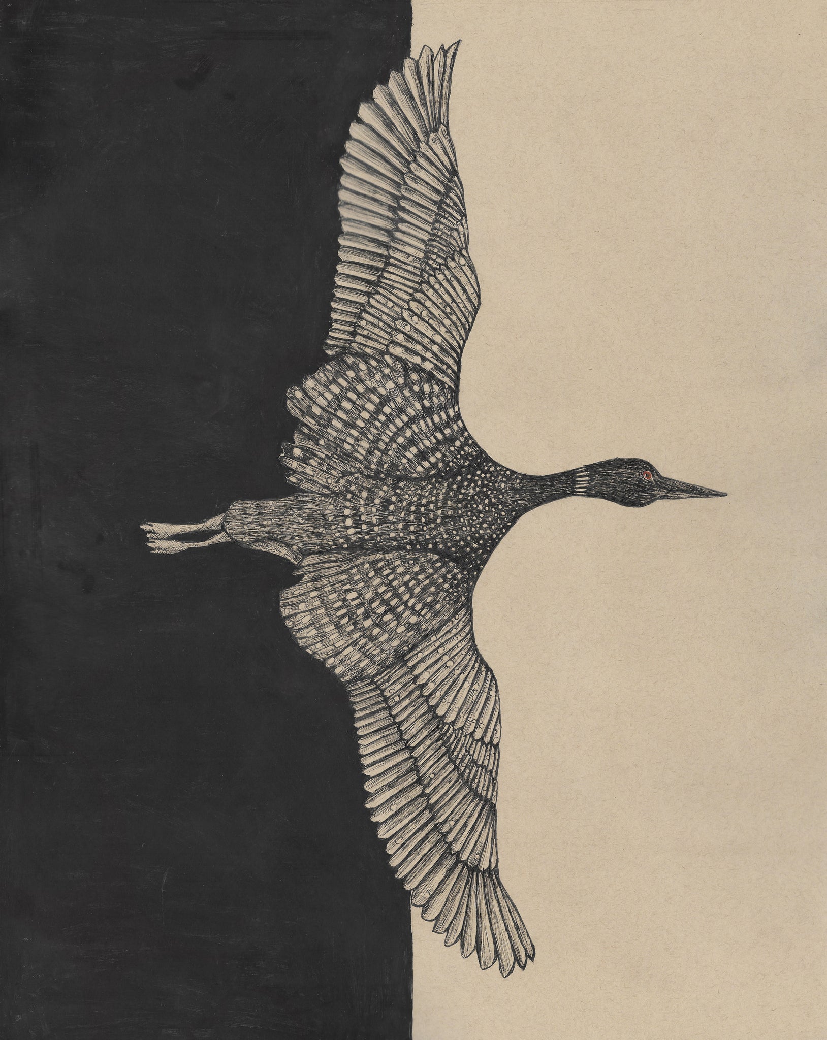 The Loon by Hilary Dufour
