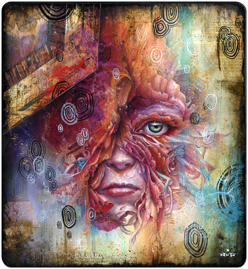 Lifespace by N.C. Winters